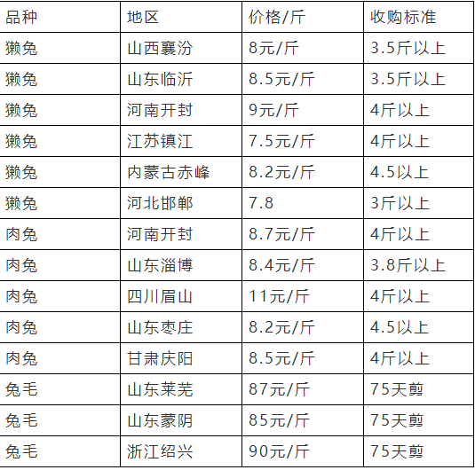 獭兔最新收购价格解析与影响因素探讨